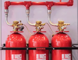 E5a155d9 9b20 4cf3 856d Dafee3939ef5jk E1682978100871